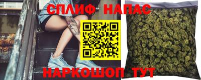 прущие грибы Конаково